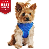 Wrap and Snap Choke Free Dog Harness - Cobalt Blue