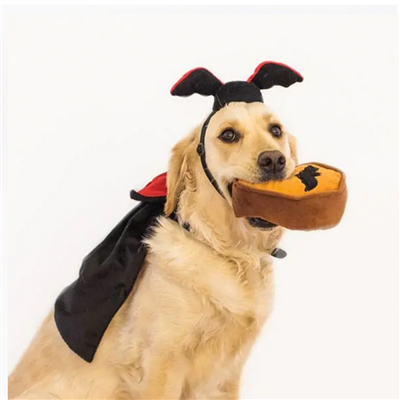 Zippy Paws Halloween Costume Kit Dracula