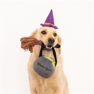 Zippy Paws Halloween Costume Kit Witch