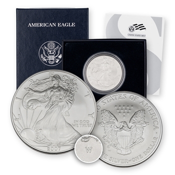 2007 Silver Eagle - Satin Finish - Uncirculated