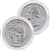 2010 Yellowstone Platinum Quarter - Denver