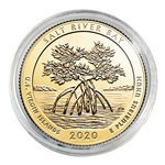 2020 Salt River Quarter - Philadelphia - Gold Capsule