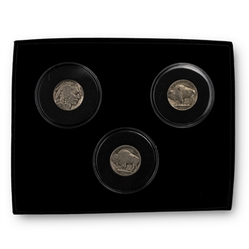 Buffalo Nickel Mint Mark Collection with Display Box-Philadelphia, Denver, and San Francisco Mint-Display Box