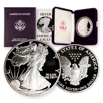 1989 Silver Eagle Government Issue - Proof