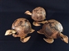 Coco Turtles with Design