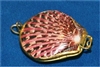 Pecten Pallium Coin Purse