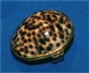 Tiger Cowry Poin Purse