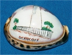 Ocracoke Etched Lighthouse on Tiger Cowry