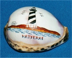 Hatteras Lighthouse Etched Tiger Cowry