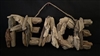 Driftwood Peace