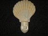 Pecten Radula