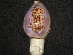 Carved Owl Tiger Cowry