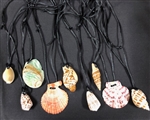 Assorted Shells On Cord Necklace