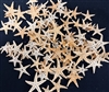 Natural Flat Starfish  1" Below  1000 pc bag