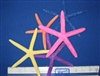 Dyed Assorted Color Starfish