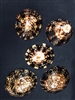 Limpets XX 3-3.5 inch