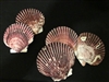 Purple Scallop Halves