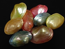 Macabebe Clam Dyed Pearled Pairs