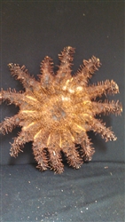 Crown Of Thorns Starfish