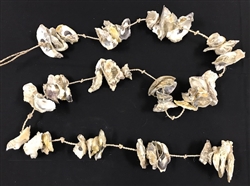 Oyster Shell Garland 72 inch