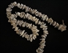 Oyster Cluster Garland 72"