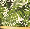 Palm and Fern Leaves