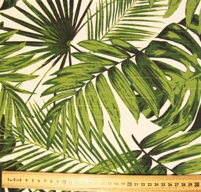 Palm and Fern Leaves