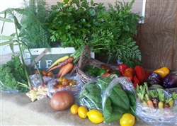 CSA - Harvest Share