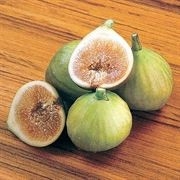 Fig - Italian Honey (White Tag)