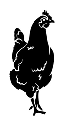 Chicken Decal