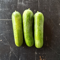 Cucumbers