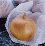 Certified Organic Candy (F1) Onion Transplants