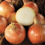 Talon Organic Cabernet Onion Transplants