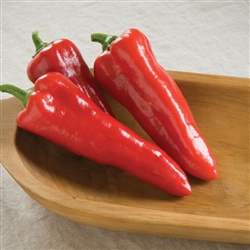 Carmen Sweet Red Italian Pepper