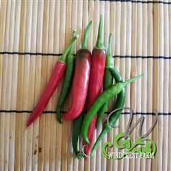 Pepper Ring of Fire Cayenne