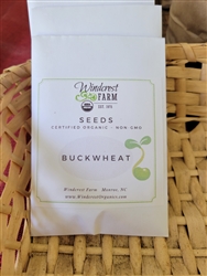 Buckwheat