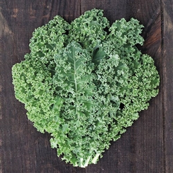 Kale, Meadowlark