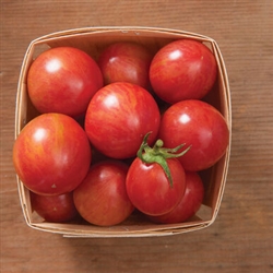 Pink Bumblebee Tomato