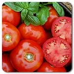 Certified Organic Tomato Plants Rutgers