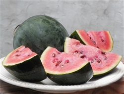 Melon Sugar Baby Watermelon