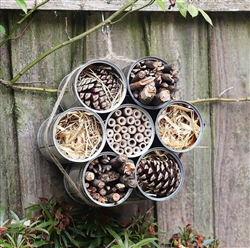 Build A Bug Hotel, Saturday, June 25, 2022