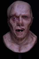 The 82 Resin Display Bust