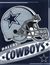 Dallas Cowboys Vertical Flag