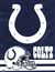 Indianapolis Colts Vertical Flag