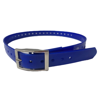 blue dog collar strap