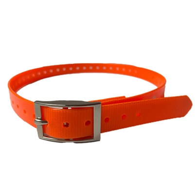orange dog collar strap