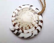 35220 Seal Shell  Necklace