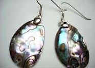 43170-2 Abalone Shell Earring w/925 Silver Hook