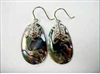 43203 Abalone Shell  w/925 silver Earring