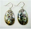 43203-2 Abalone Shell  w/925 silver Earring